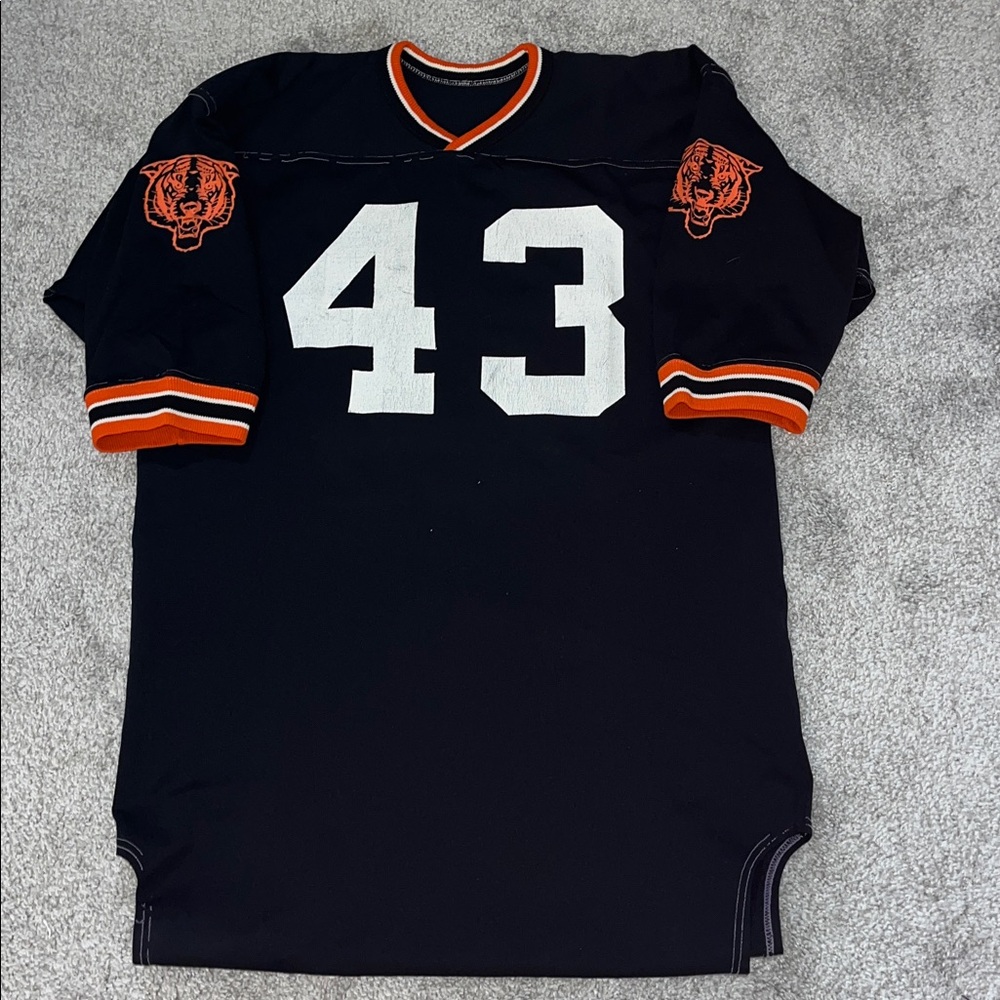 Princeton Tigers Vintage Sandknit Football team Jersey shirt M Men’s Retro #43